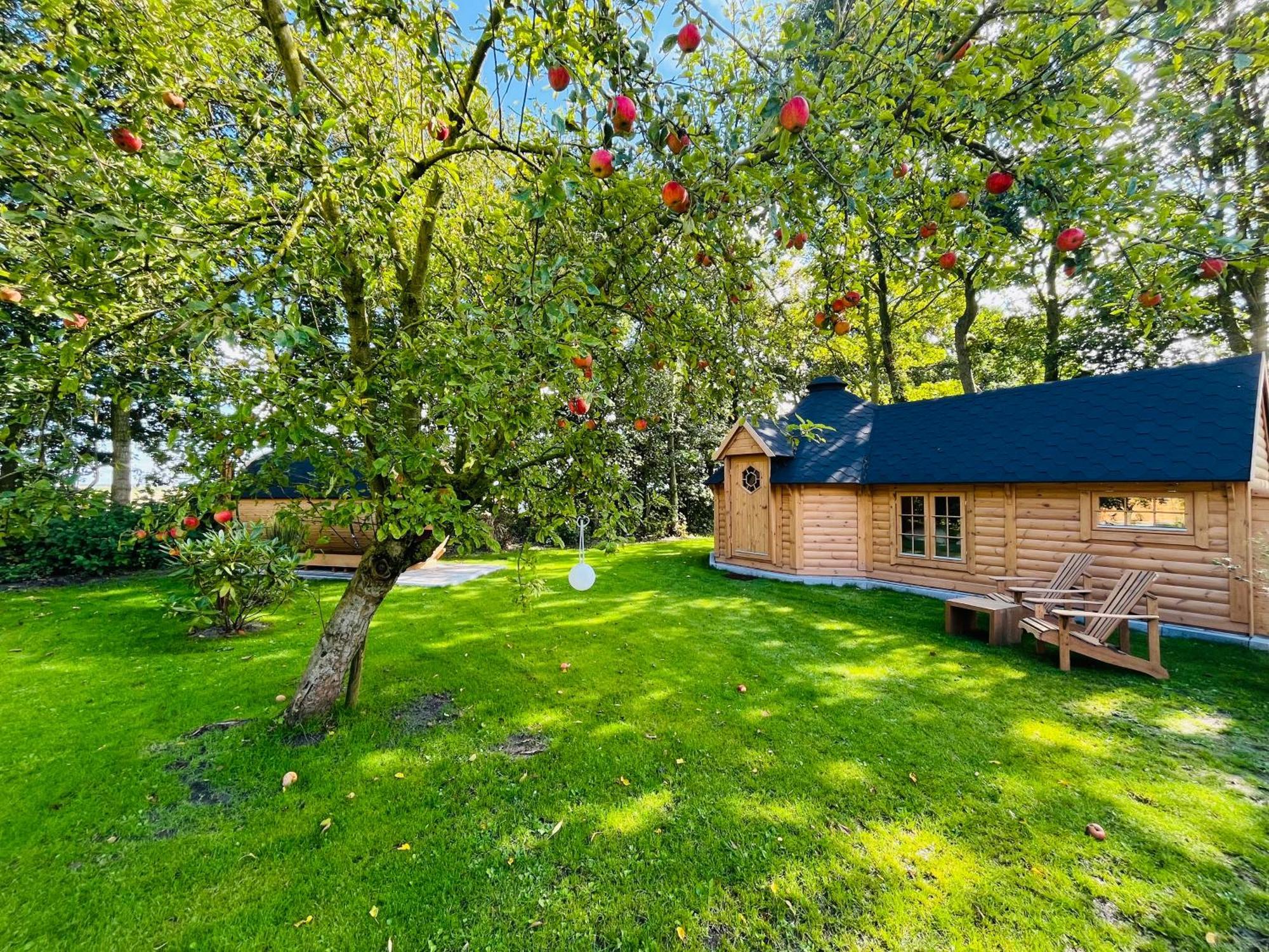 Bed & Breakfast Voor De Wind Slootdorp Kültér fotó